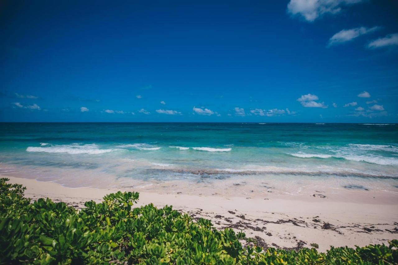 Pink Sand Cottage Cottage North Palmetto Point Esterno foto