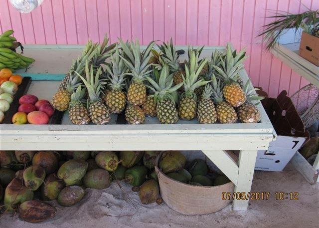 Pink Sand Cottage Cottage North Palmetto Point Esterno foto